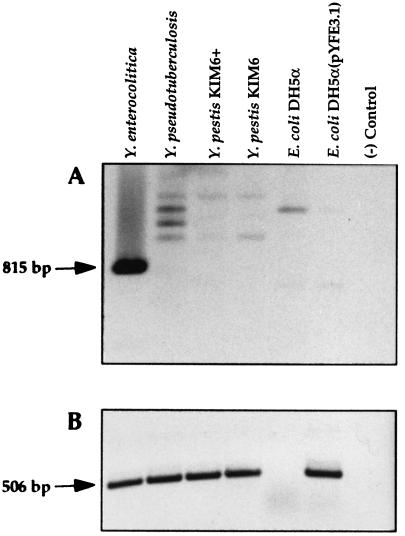 FIG. 7