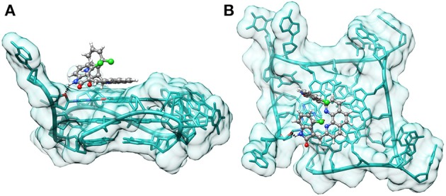 Figure 7