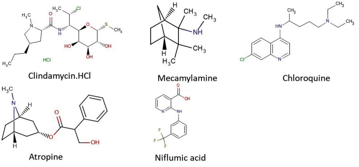 Figure 6