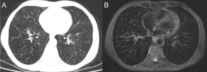 Fig. 6