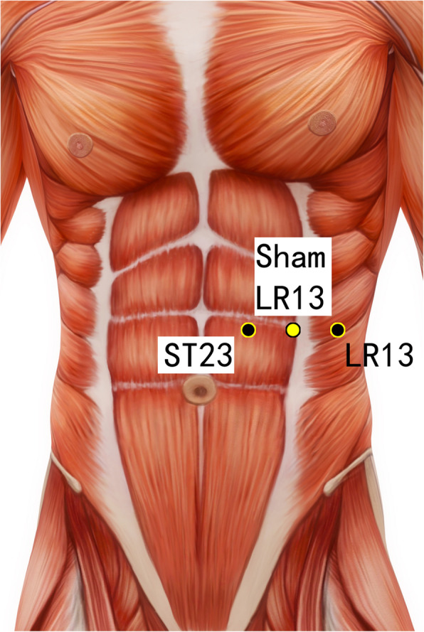 Fig. 5