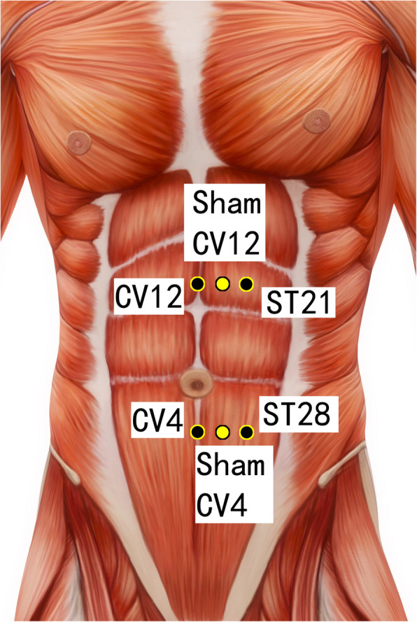 Fig. 6