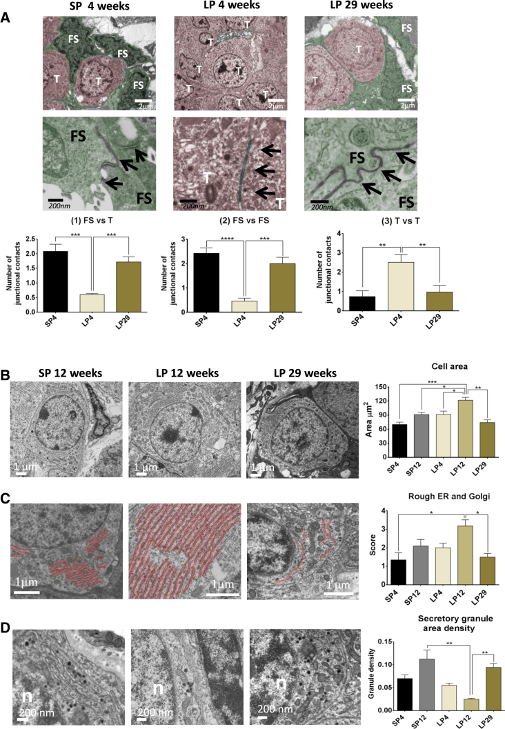 Figure 4