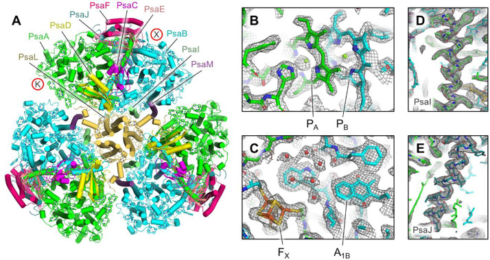 Fig. 2.