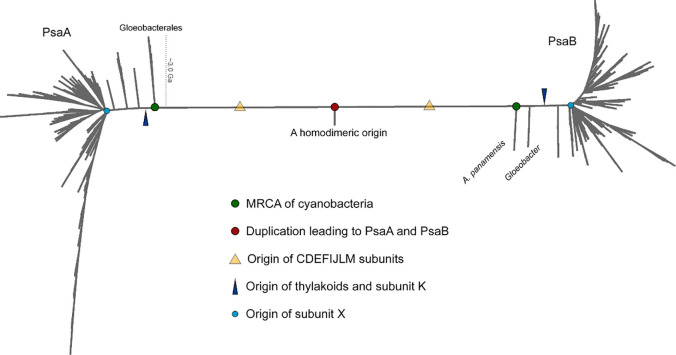 Fig. 6.