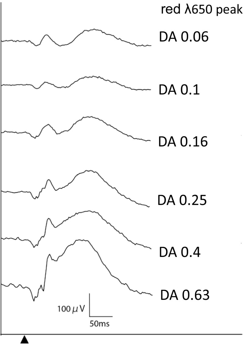 Fig. 2