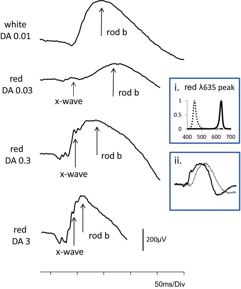 Fig. 1