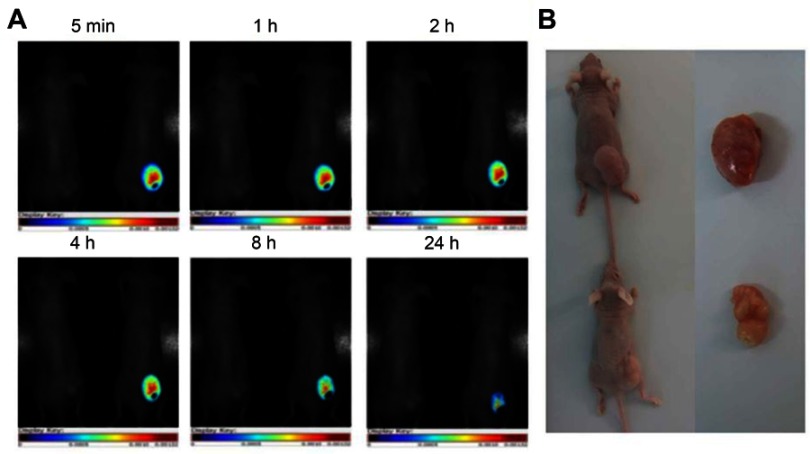 Figure 12