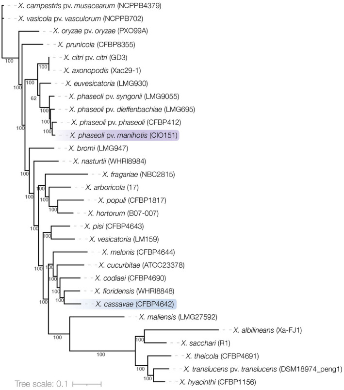 FIGURE 3