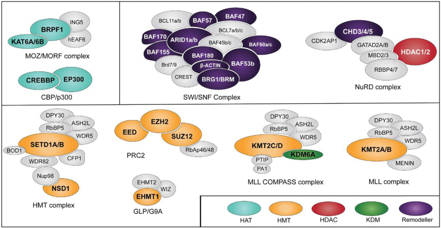 FIGURE 1: