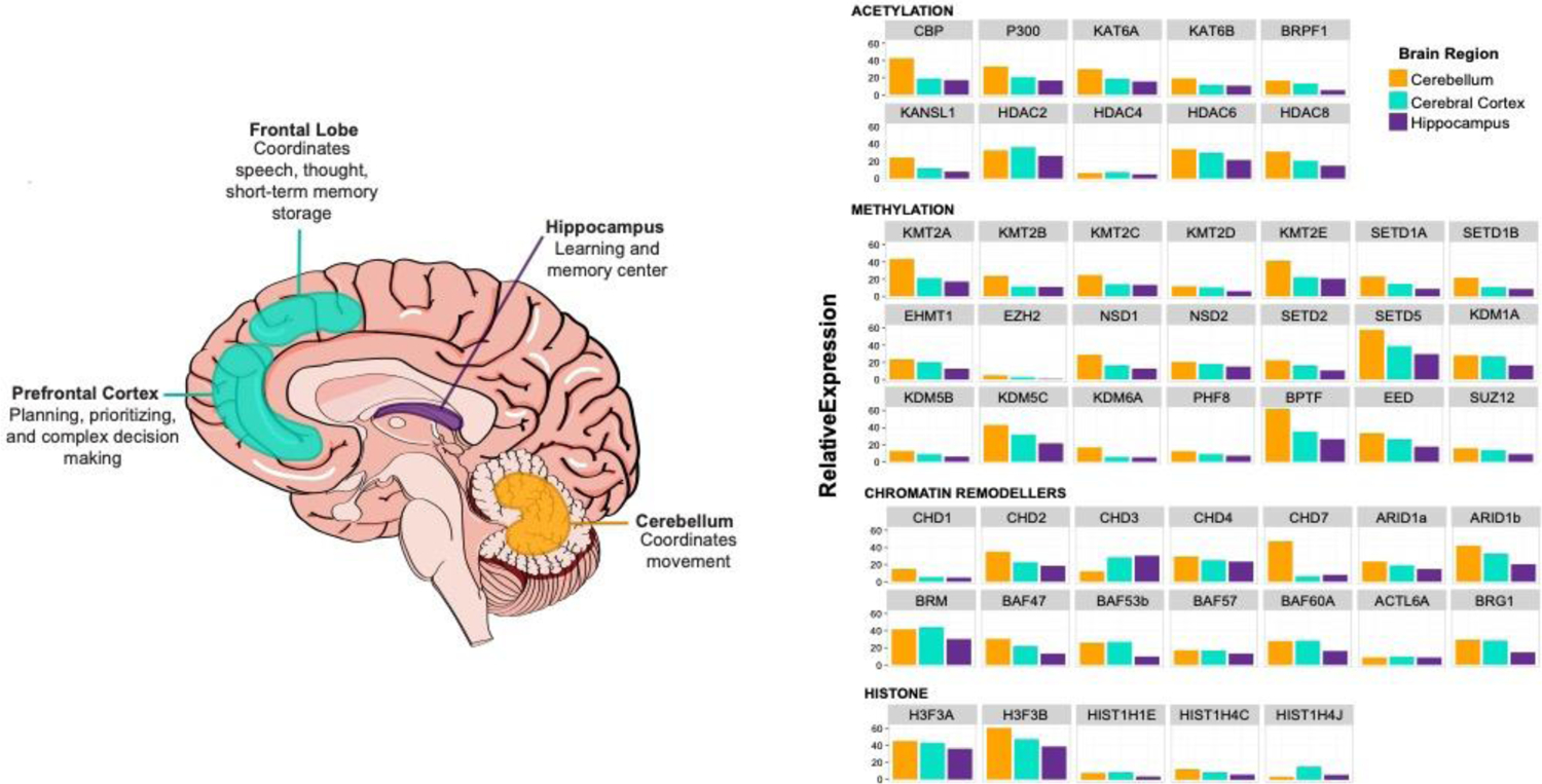 FIGURE 3: