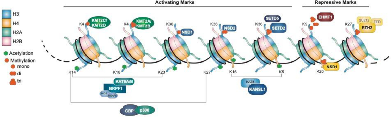 FIGURE 2: