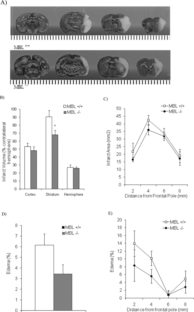 Fig. (5)