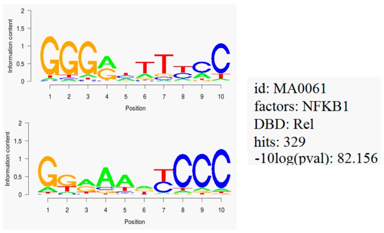 Figure 7