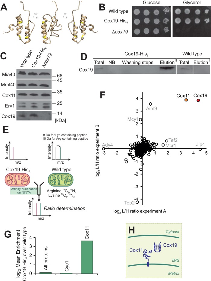 FIGURE 1: