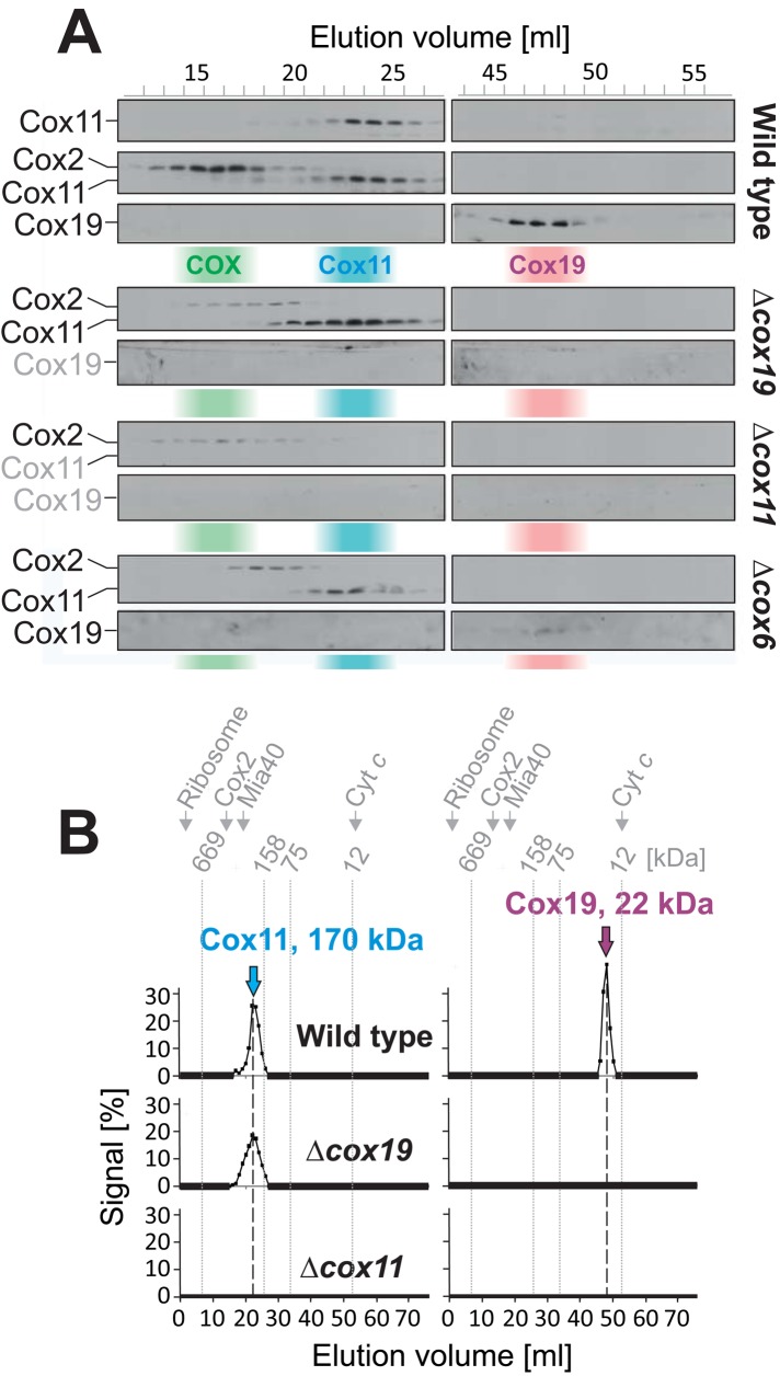 FIGURE 3: