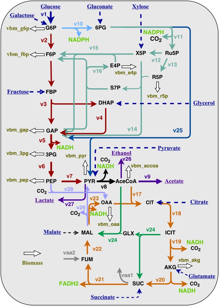 Fig 1