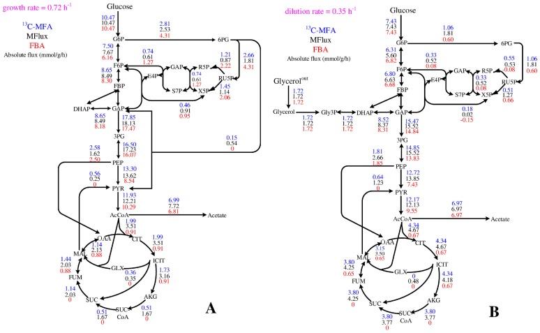 Fig 10