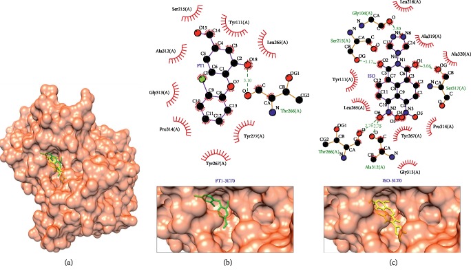 Figure 7