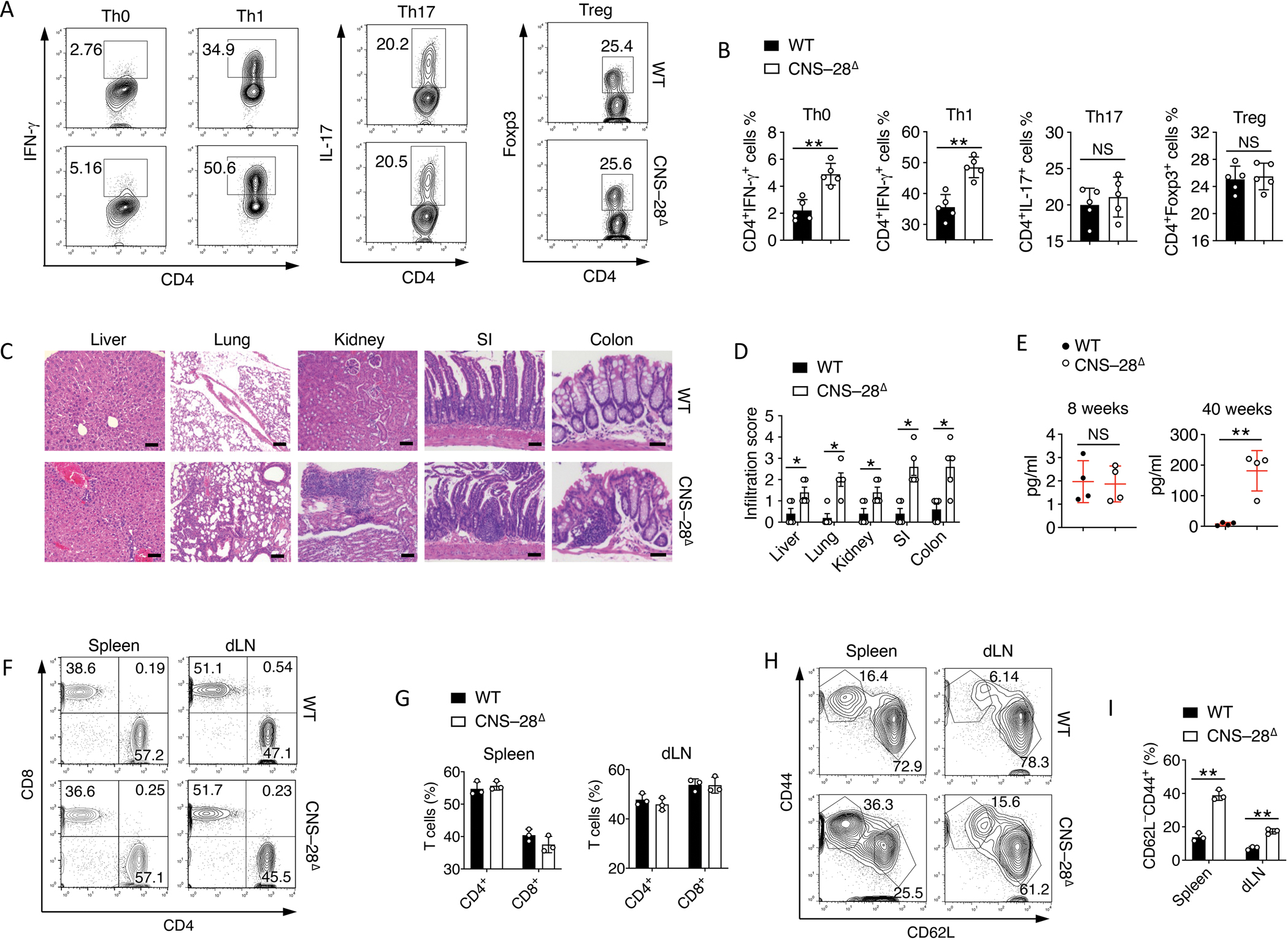 Fig 3.