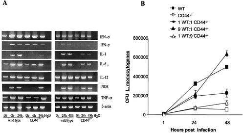 FIG. 4.