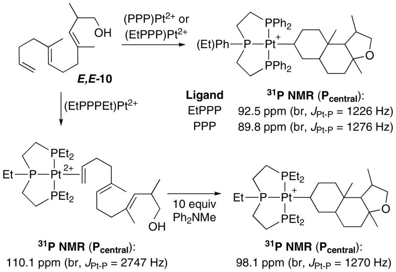 Scheme 6