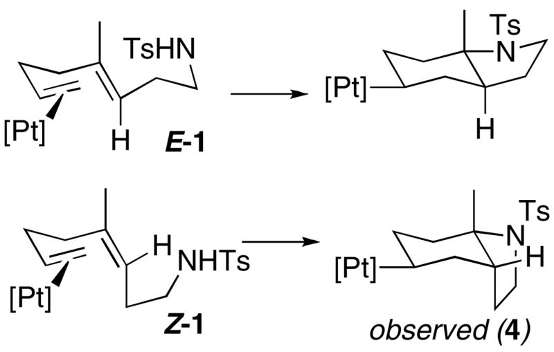 Scheme 8