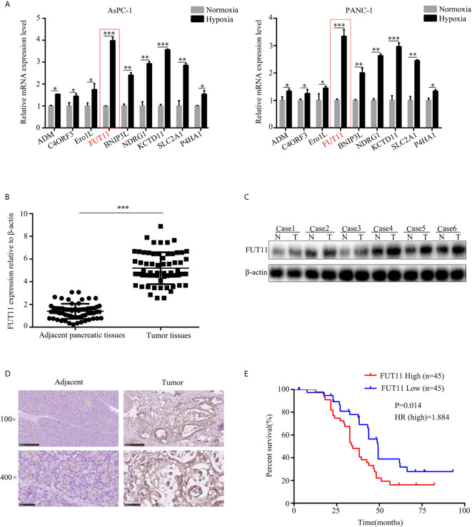 Figure 2