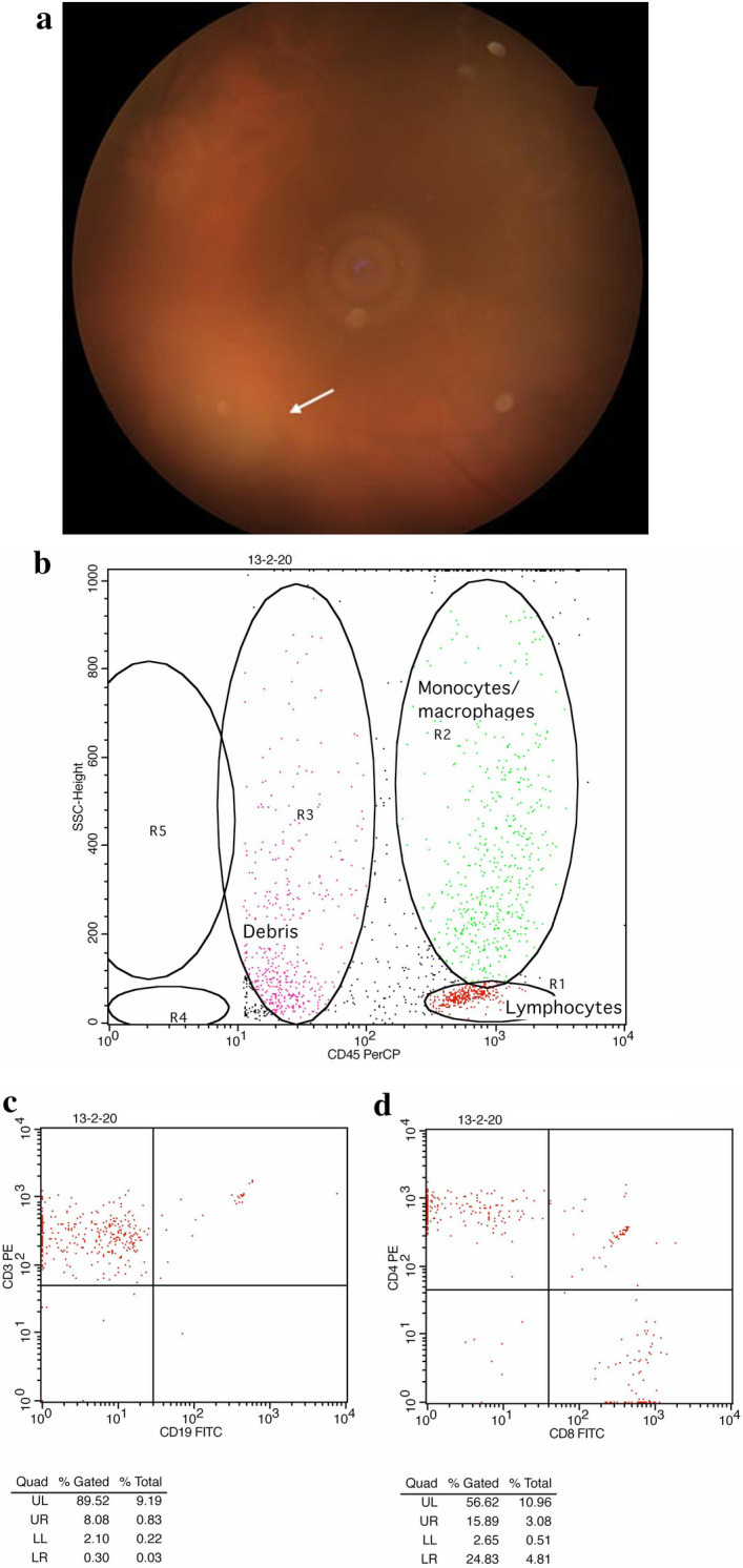 Fig. 7