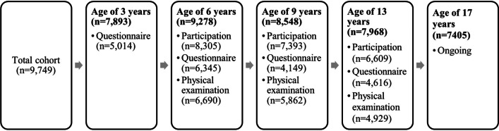 Fig. 1