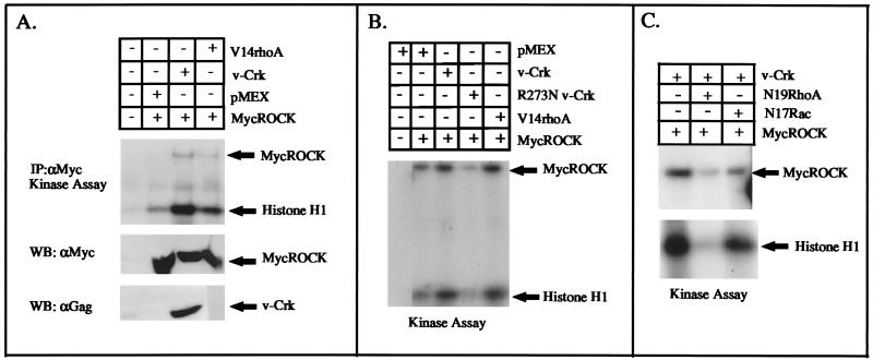 FIG. 6