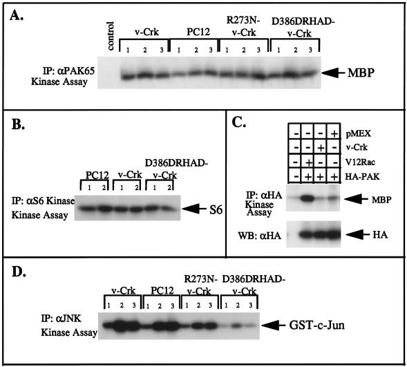 FIG. 7