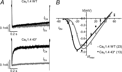 FIGURE 4.