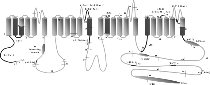 FIGURE 1.