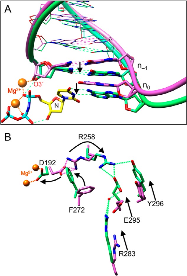 FIGURE 1.