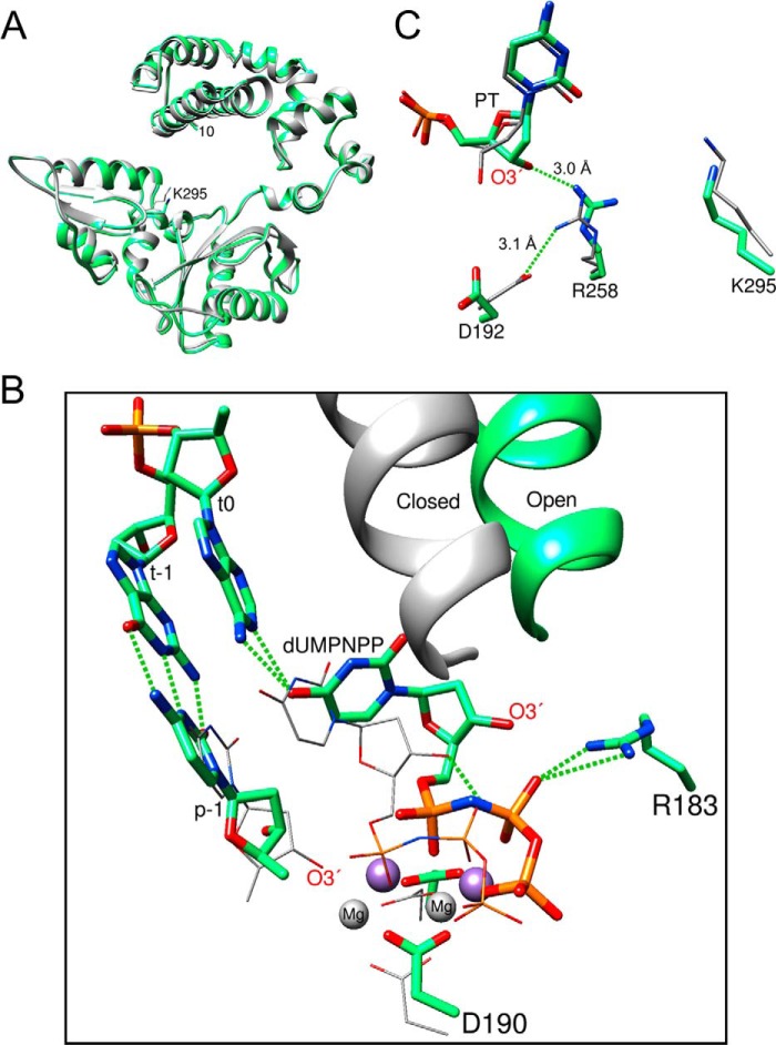 FIGURE 7.