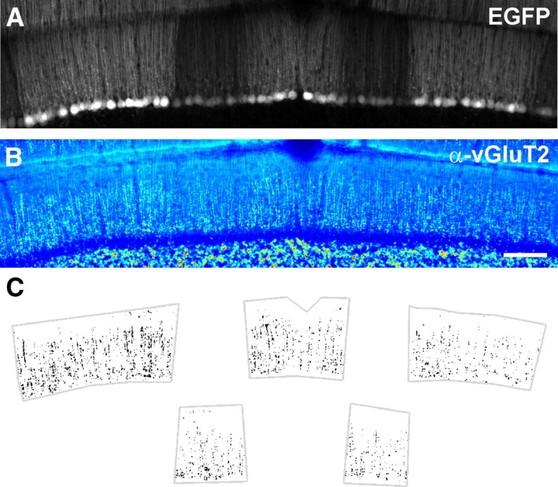 Figure 7.