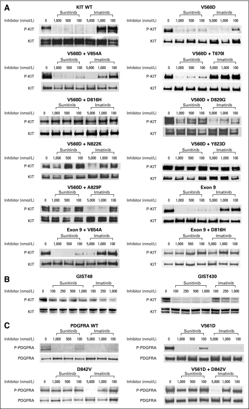 Fig 3.