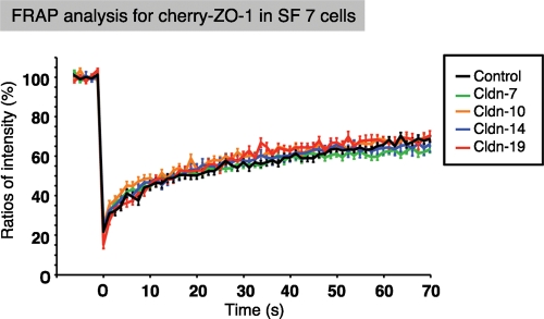 FIGURE 6: