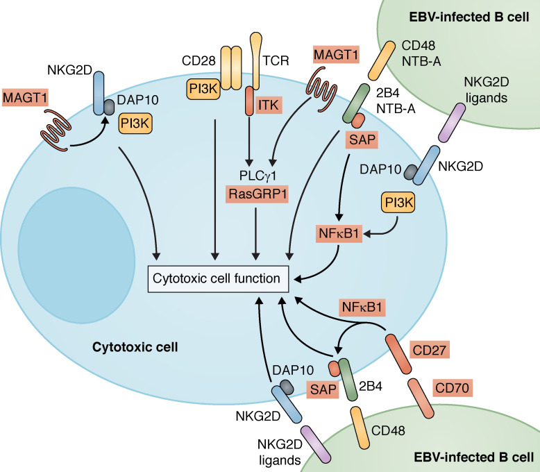 Figure 2.