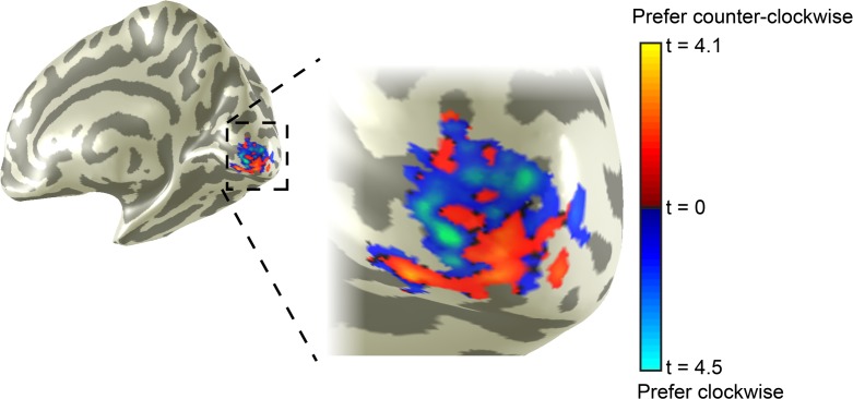 Figure 3—figure supplement 8.