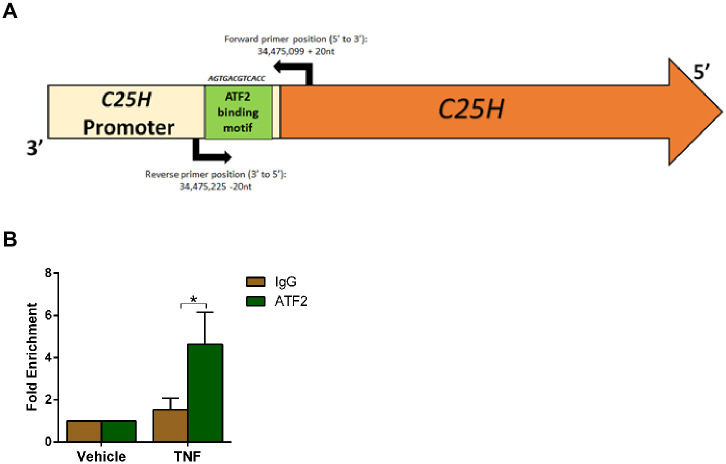 Fig 7