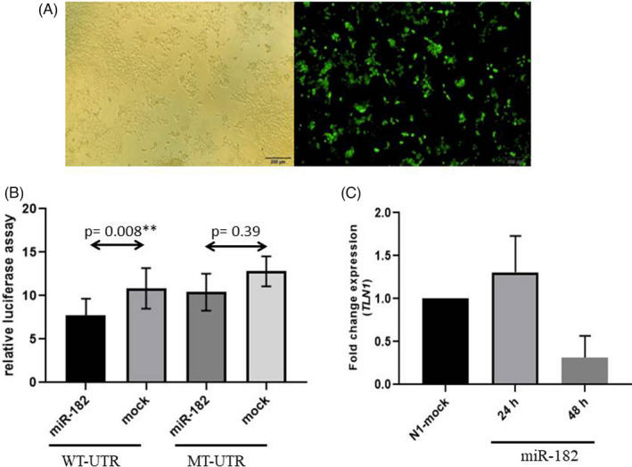 FIGURE 3