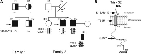 Figure 1.