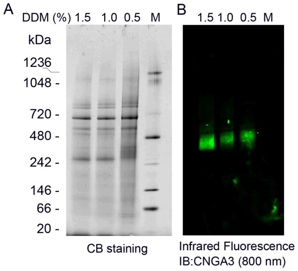 Fig. 98.3