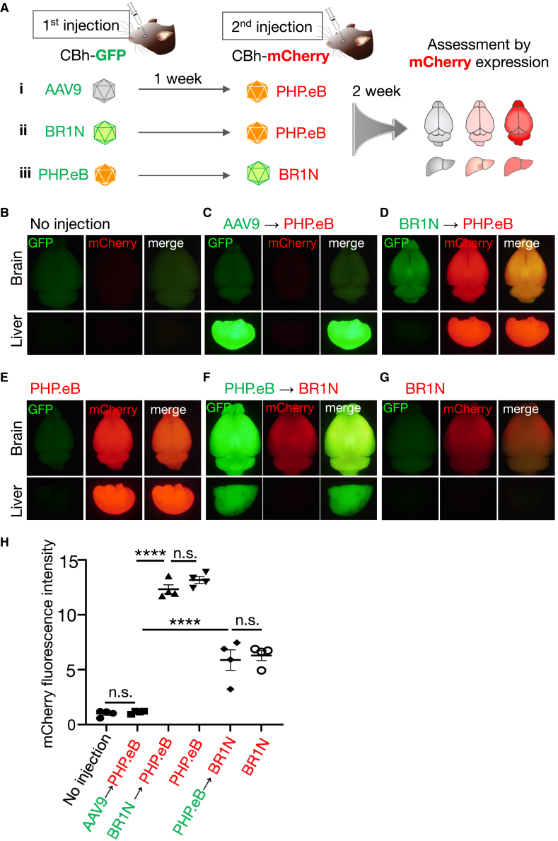 Figure 4