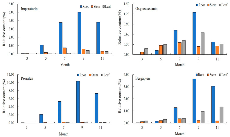 Figure 5