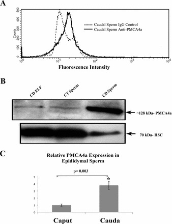 FIG. 6