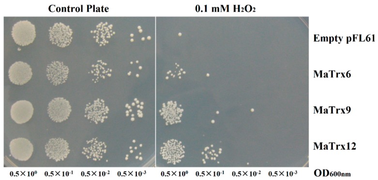 Figure 6