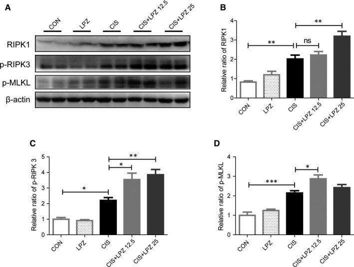 FIGURE 4